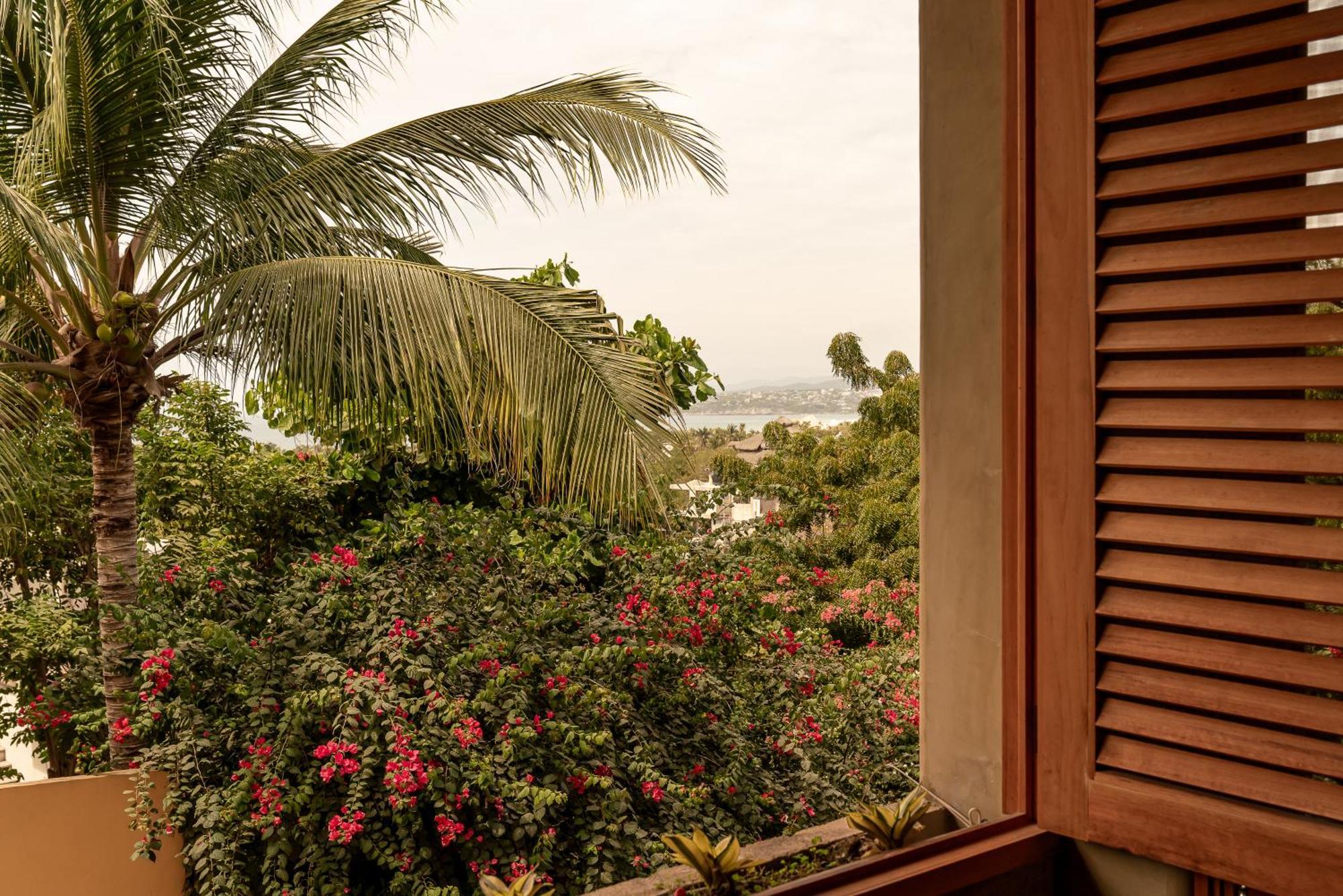 Villa Macarena Apartamentos Boutique - Adults Only Puerto Escondido  Habitación foto